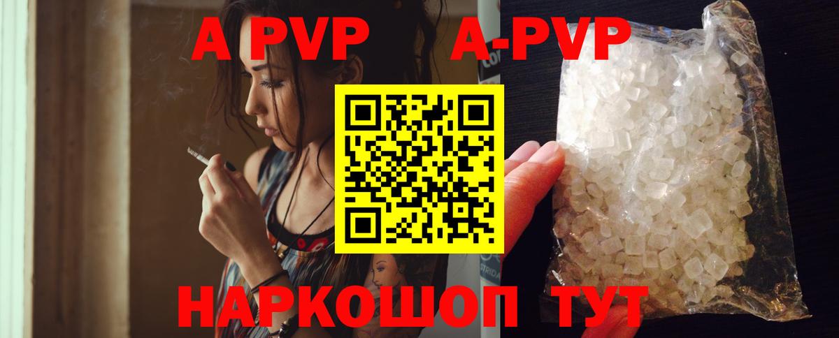Alfa_PVP СК Кузнецк