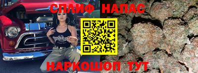 гашик Кимры