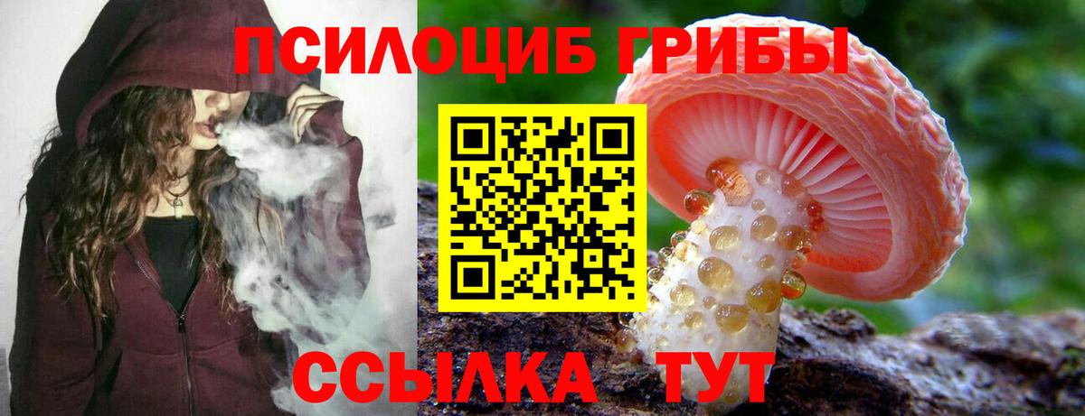 Псилоцибиновые грибы Psilocybe  Вход с VPN  Кузнецк 